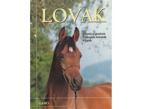 LOVAGLÁSI JÁTÉKOK .